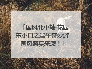 国风北中轴·花园东小口之端午奇妙游国风盛宴来袭！